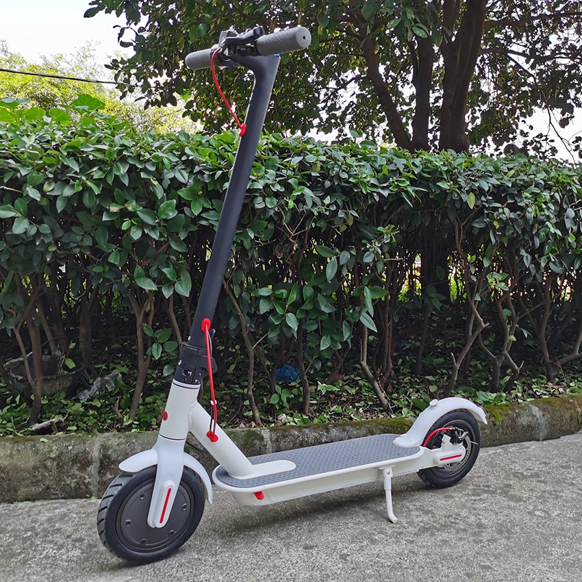 Two Wheel Smart Rear 500W Adult Self Balancing Electric Scooter