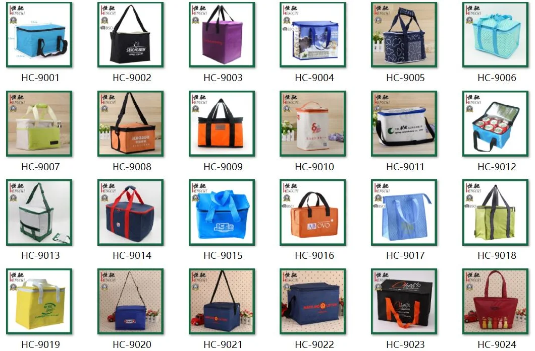 Customized Oxford Insulated Cooler Bag with Carring Handle