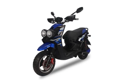 1000W 強力な大人用電動自転車/電動スクーター/電動自転車スクーター (BWS)