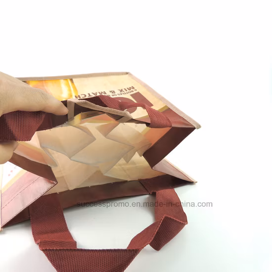 卸売販促品 格安不織布 6枚入 ワインバッグ付き